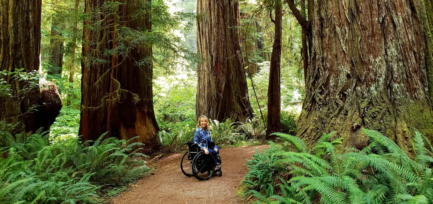A blonde woman seated in a wheelchair on a dirt path in a forest, surrounded by giant redwood trees and ferns.