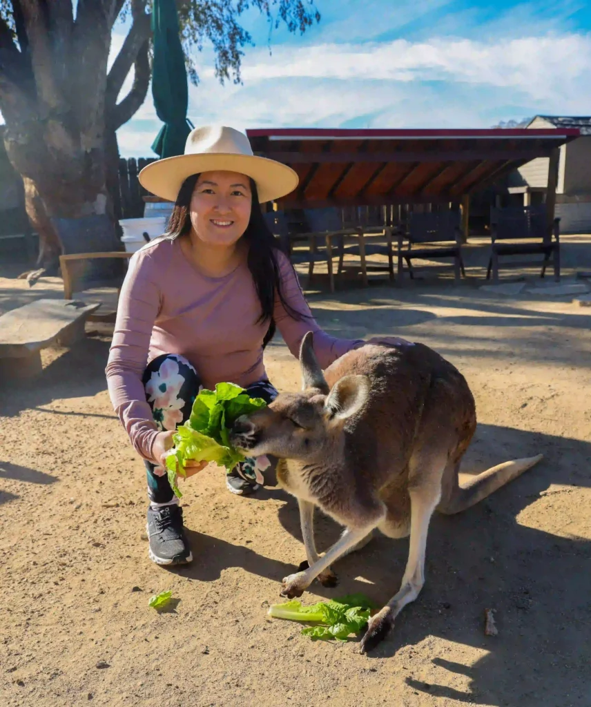 A woman wearing a white hat, a pink long-sleeve shirt, and floral-patterned leggings is crouching down and smiling at the camera while feeding lettuce to a kangaroo. The scene is set outdoors on a sunny day, with wooden furniture and a large tree visible in the background.