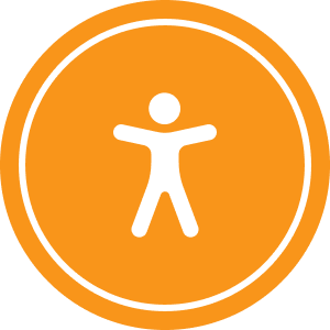 open accessibility tool