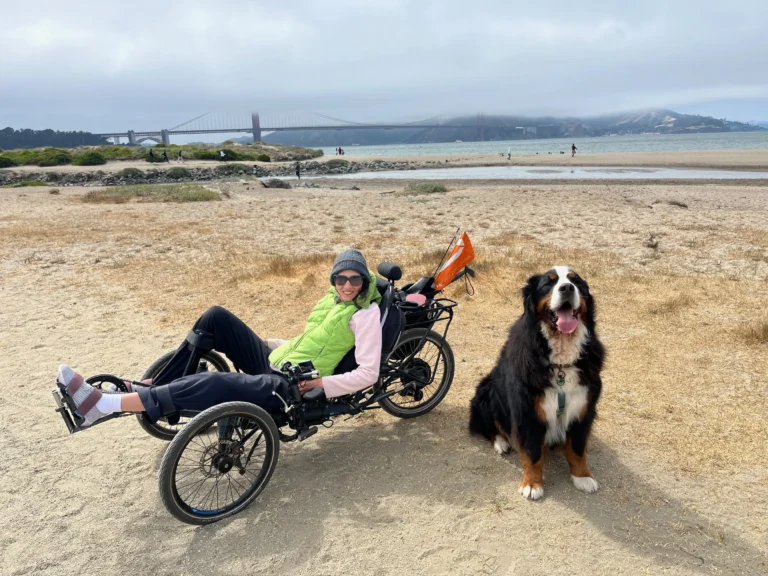 A person in a green vest relaxes in a recumbent bike on a sandy beach, accompanied by a Bernese Mountain Dog against a scenic backdrop.