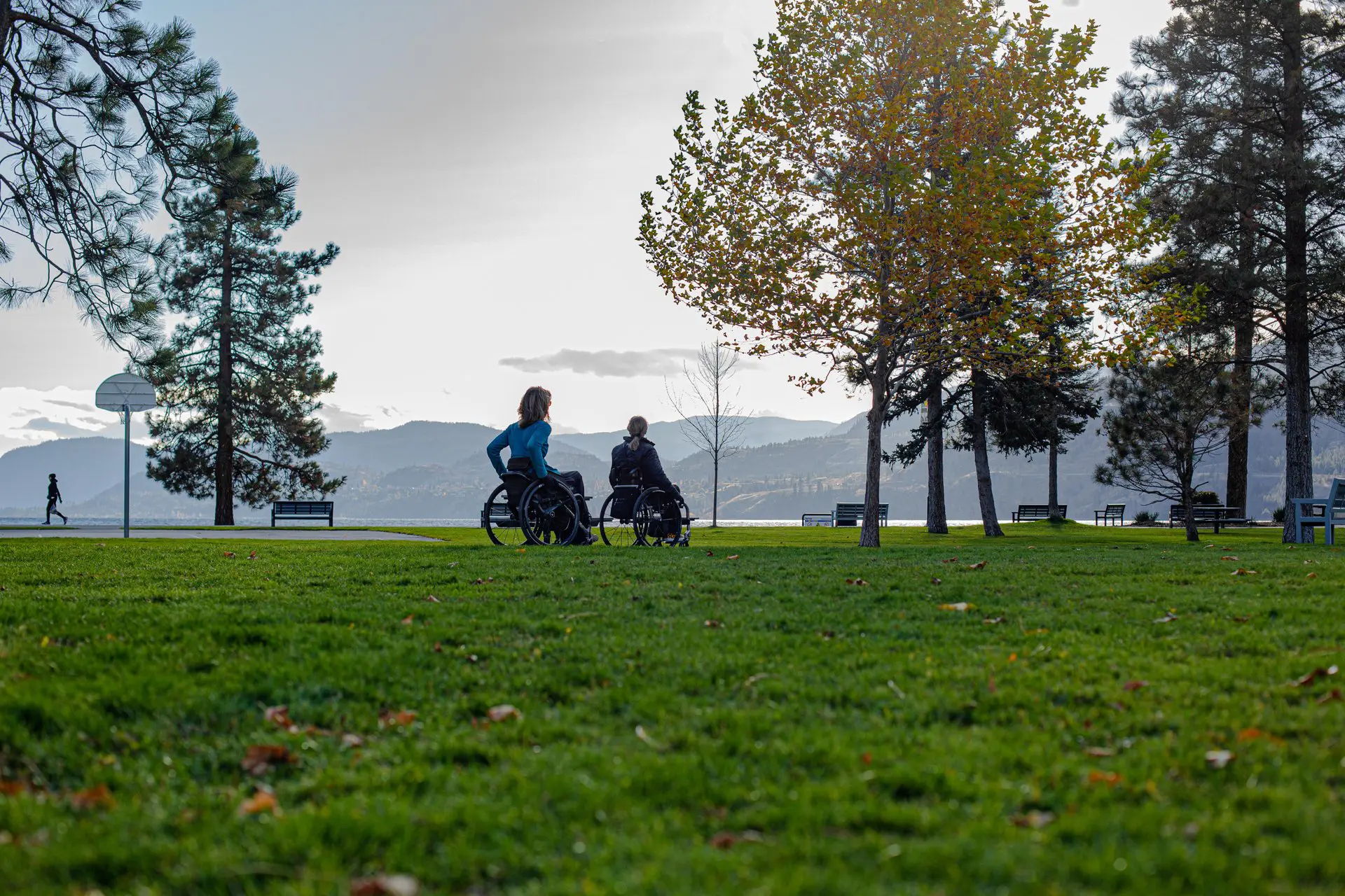 Two people in wheelchairs enjoy a peaceful moment in a grassy lakeside park surrounded by tall trees and distant mountains. The scene is serene with a backdrop of calm water and soft, overcast sky. Several benches are scattered throughout the park, and a lone person walks near a basketball hoop in the background. Autumn leaves are scattered across the grass, and one tree in the foreground shows early fall foliage.
