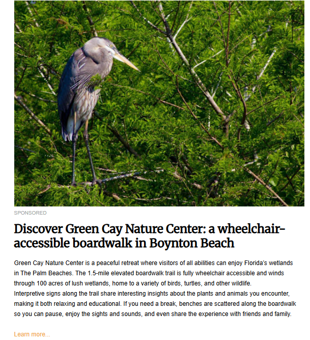A Great Blue Heron stands on a branch surrounded by lush green foliage, highlighting the natural beauty and wheelchair-accessible boardwalk at the Green Cay Nature Center in Boynton Beach, Florida.